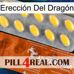 Erección Del Dragón 42